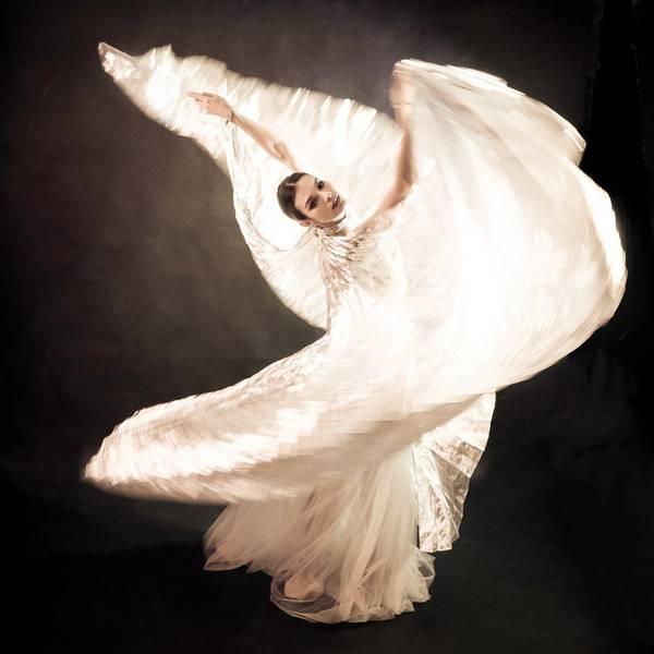 Fantastic flight Charlotte Brunstein - Subjektiv.art