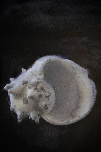 07/20 Yuliia Holub - Subjektiv.art