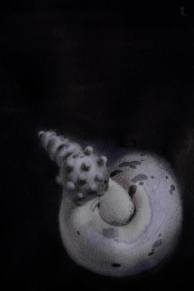 17/20 - Surreal Seashell Shape Yuliia Holub - Subjektiv.art