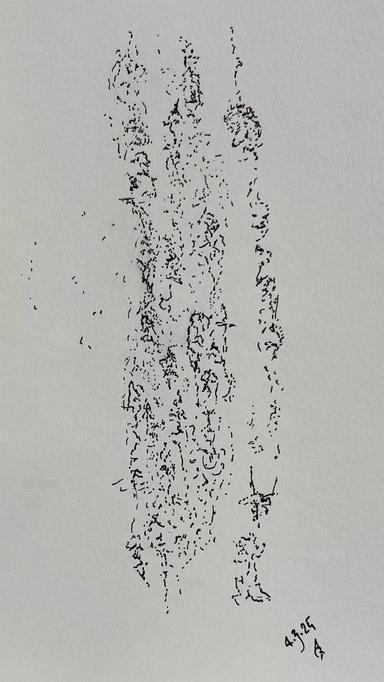 4325 adrian Giacomelli - Subjektiv.art