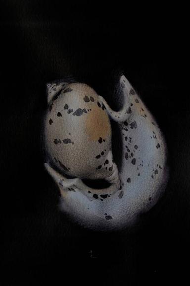 19/20 Yuliia Holub - Subjektiv.art