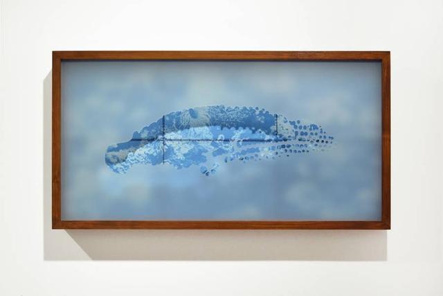 Fellow Ichthyosaurus I Tiago Costa - Subjektiv.art