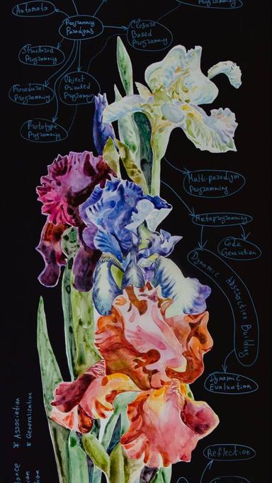 «Programing Paradigms»  Elmira Shemsedinova - Subjektiv.art