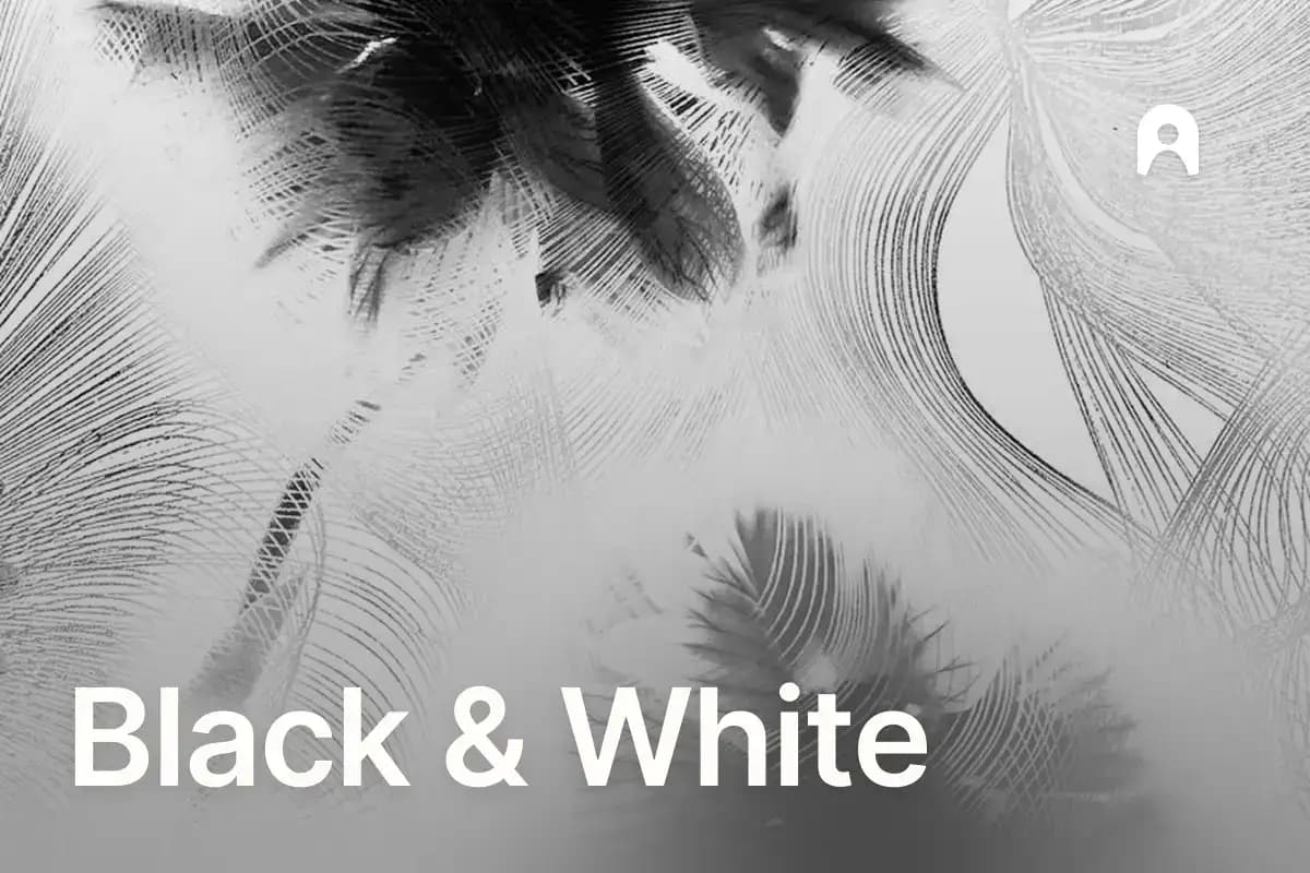 Black & White