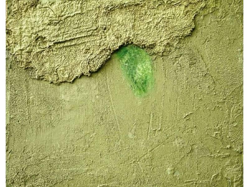 Green Light Olena Ryzhykh - Subjektiv.art