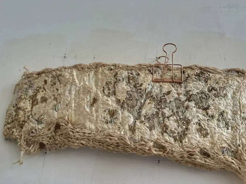 Artwork by Dasha Tsapenko