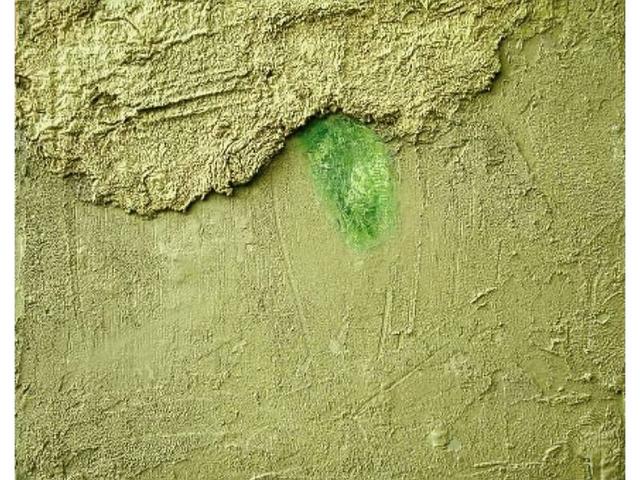 Green Light Olena Ryzhykh - Subjektiv.art