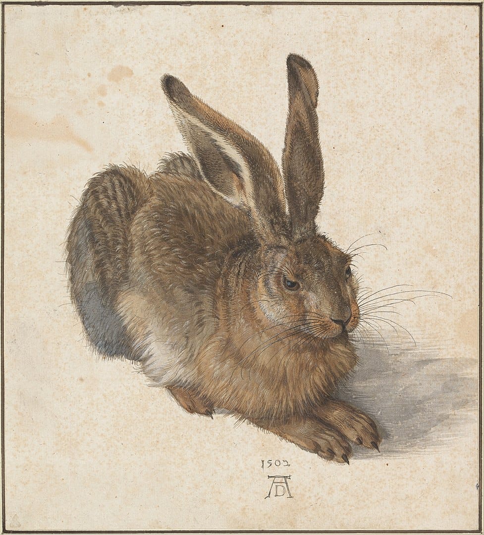 "Young Hare", Albrecht Dürer, 1502, watercolour and bodycolour